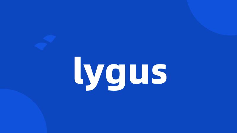 lygus