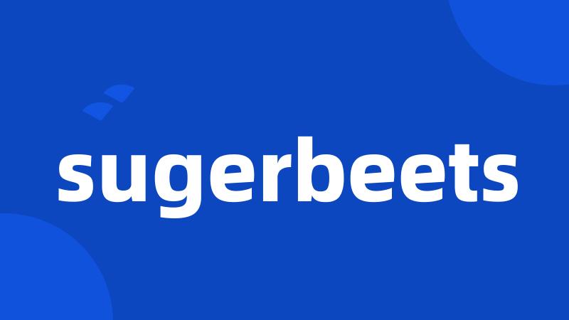 sugerbeets