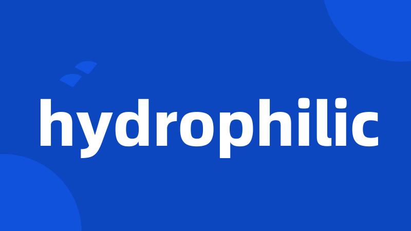 hydrophilic