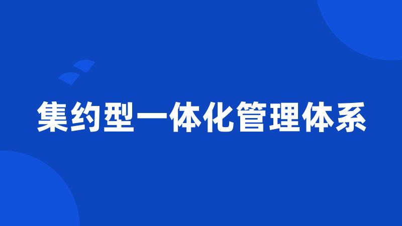 集约型一体化管理体系