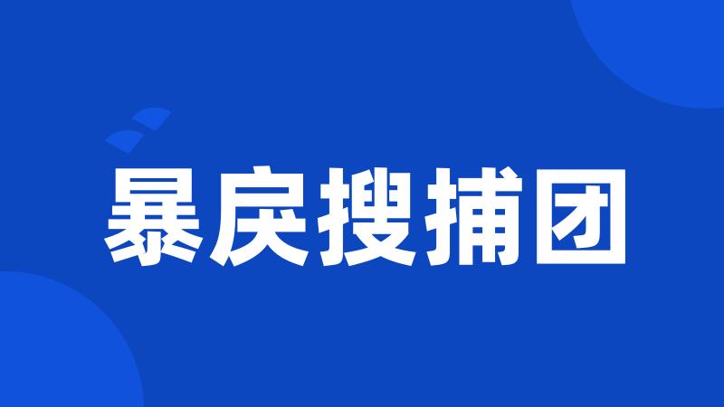 暴戾搜捕团