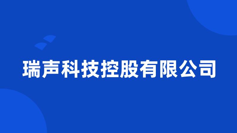 瑞声科技控股有限公司