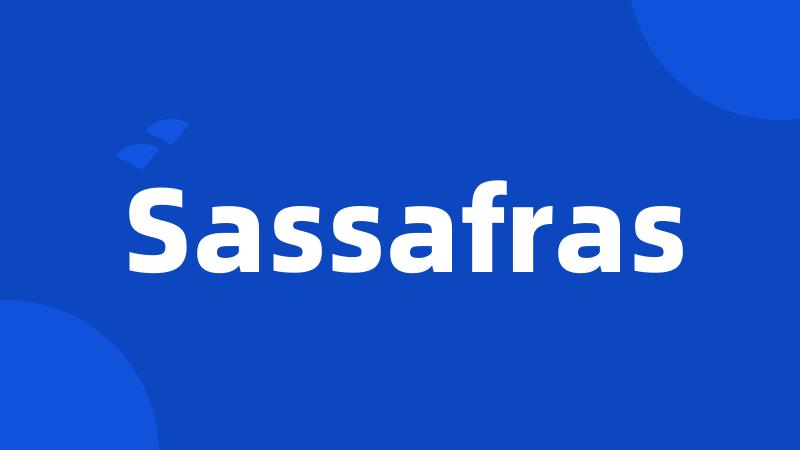 Sassafras