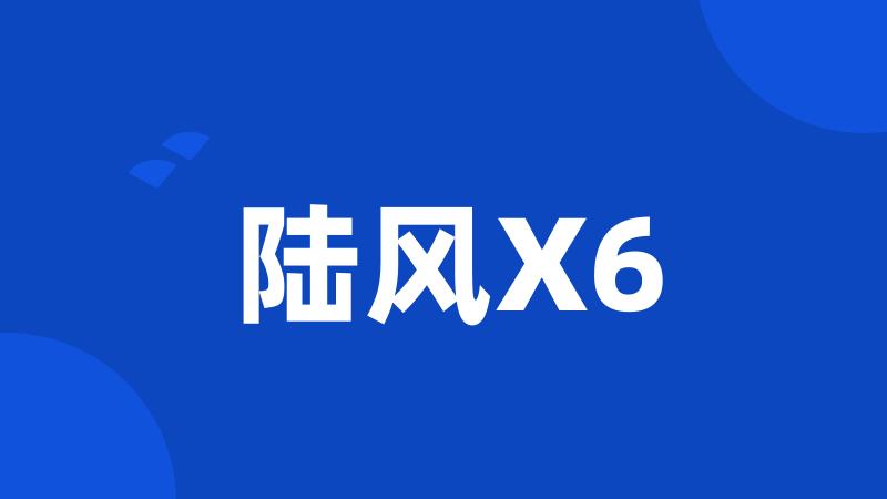 陆风X6