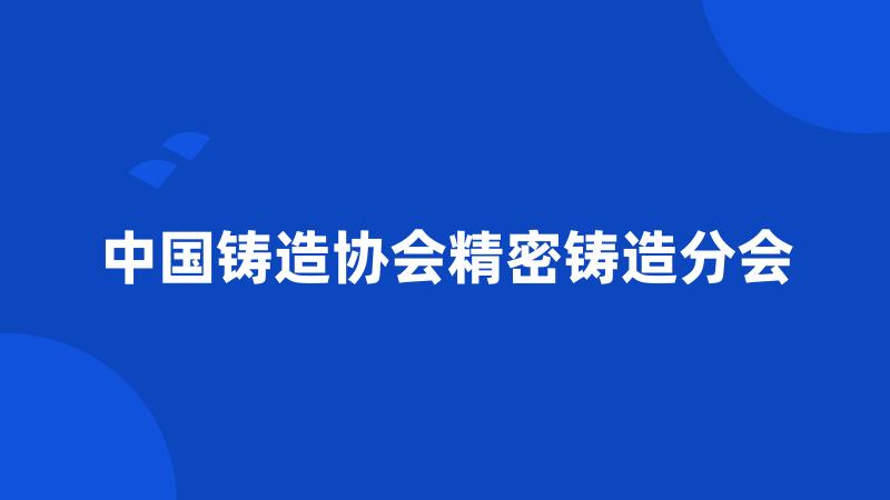 中国铸造协会精密铸造分会