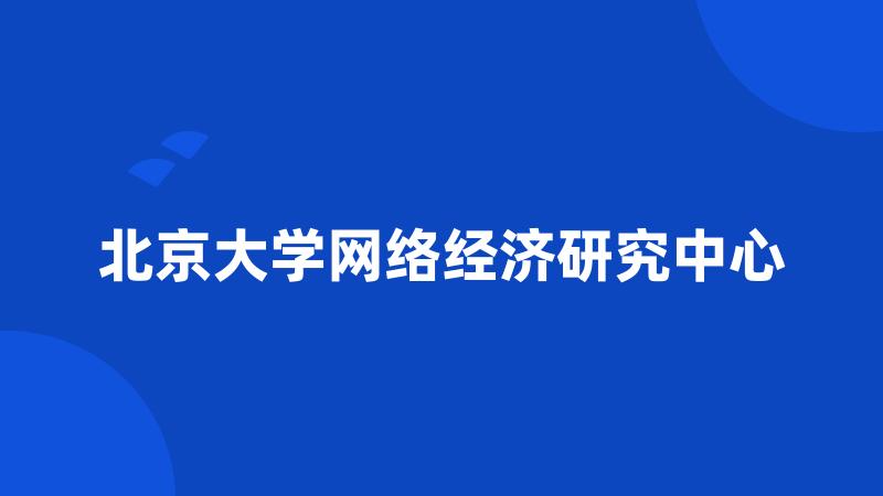 北京大学网络经济研究中心