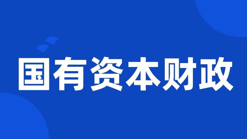 国有资本财政