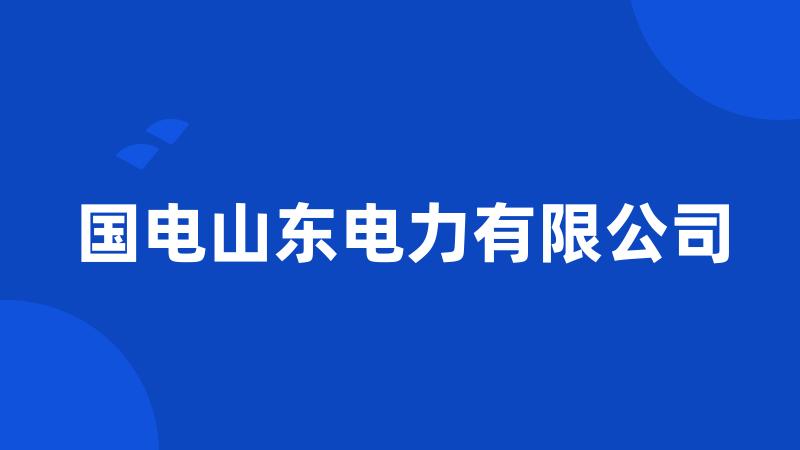 国电山东电力有限公司