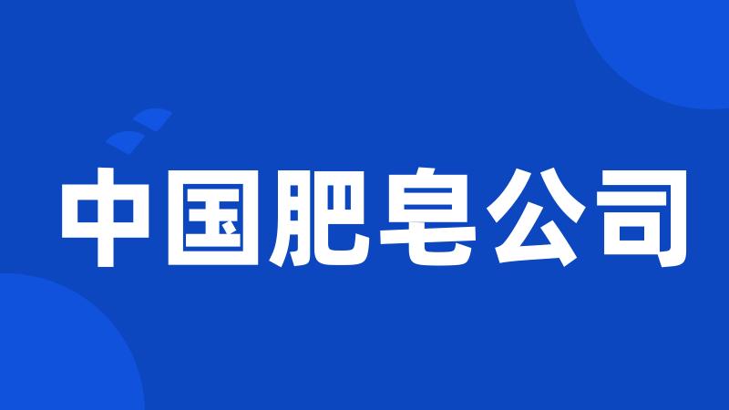 中国肥皂公司