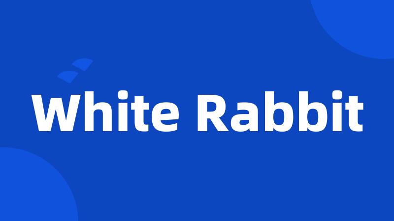 White Rabbit