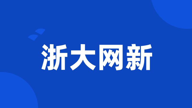 浙大网新