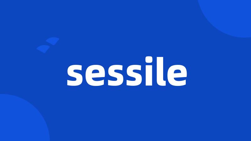 sessile