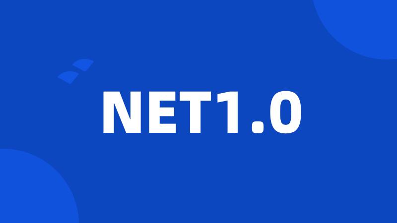 NET1.0